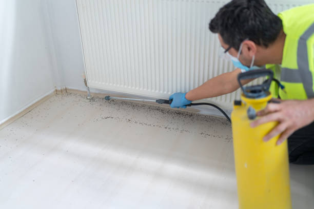 Best Cockroach Control Services  in Fort Belknap Agency, MT